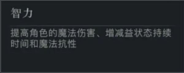 代号破晓属性选择解析